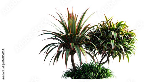 Wallpaper Mural plant duo with ender green leaves, isolated on transparent background Torontodigital.ca