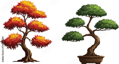 Beautiful autumn and green bonsai trees side by side, seasonal contrast showing fall orange foliage and evergreen plant art illustration
