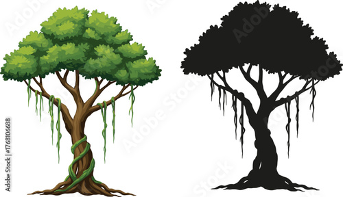 Tropical jungle tree with hanging vines and its dark silhouette version, nature contrast showing lush green foliage and shadow outline illustration