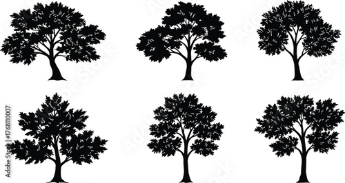 Collection of deciduous tree silhouettes, black isolated tree vector set, natural forest illustration, landscape design elements, eco friendly nature art