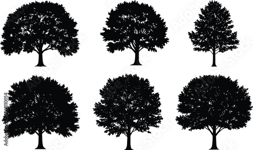 Set of tree silhouettes, black isolated deciduous tree vector collection, natural forest landscape design, eco nature illustration, botanical artwork