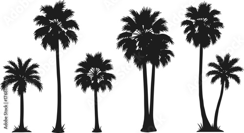 Collection of palm tree silhouettes, tropical beach tree vector set, black isolated design elements, summer landscape illustration, exotic nature art