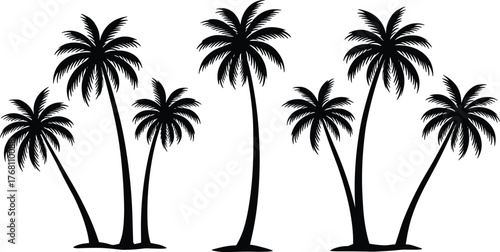 Tropical palm tree silhouette set, black isolated vector collection, beach coconut trees illustration, summer island nature design, exotic landscape art