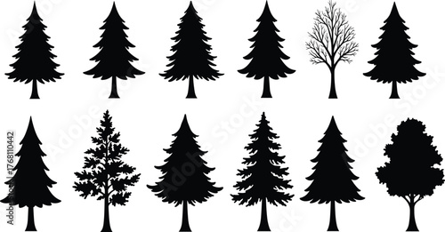 Silhouette collection of pine trees and deciduous trees, forest tree shapes, nature illustration, evergreen and leafless trees vector design