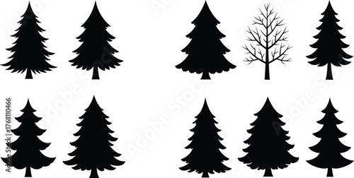 Silhouette collection of pine and spruce trees, evergreen forest tree shapes, nature illustration, winter woodland vector design elements