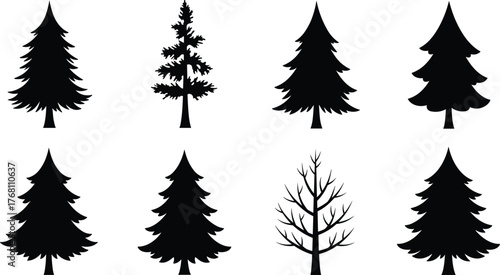 Set of pine and forest tree silhouettes, black conifer and leafless tree vector illustration for nature design and landscape decoration