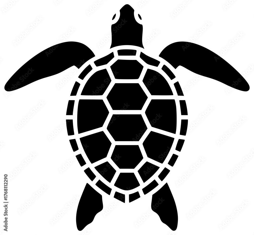 Obraz premium animal illustration cute silhouette turtle logo nature icon cartoon outline wildlife character ocean sea happy tortoise design funny drawing shape women vector graphic background