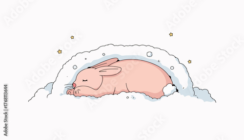 Sleeping Bunny in the Clouds