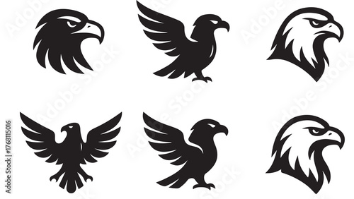 set of flying eagle and bird vector silhouettes