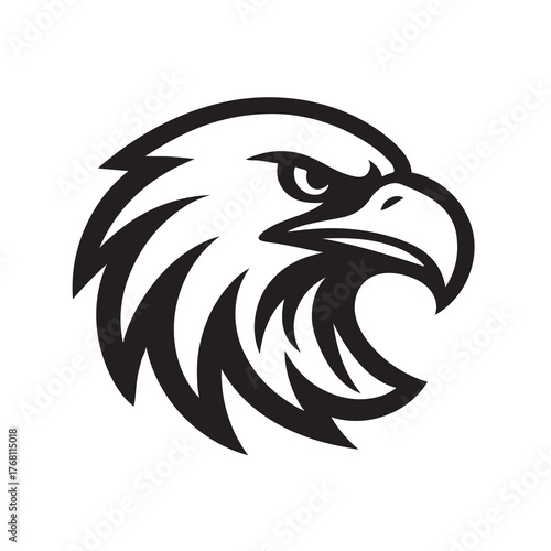 eagle head vector illustration icon design