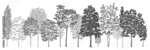 Architectural vector drawing of wetland forest tree-line section and side view set for landscape design illustration with separate layered elements.
