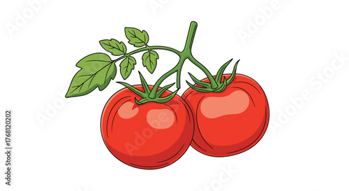 Two ripe red tomatoes on the vine with green leaves, a simple illustration.
