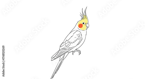 Simple outline drawing of a cute cockatiel with yellow crest and orange cheeks on a white background.