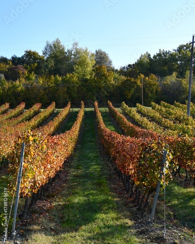 Jesień w Toskanii, Italia.