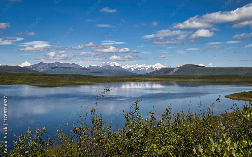 Obraz premium Lake on the Denali Highway