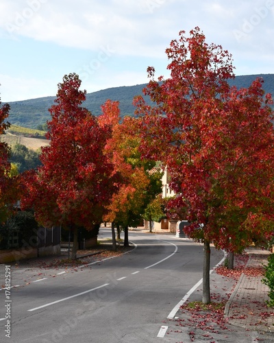 Jesień w Toskanii, Italia.