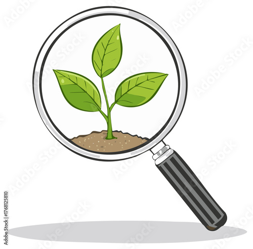 Magnifying glass viewing a small green seedling growing in soil