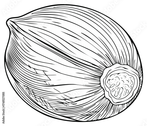 Black and white illustration of a ripe fig fruit showing interior detail