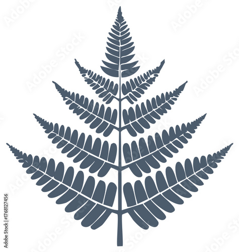 Stylized fern frond botanical illustration organic foliage design element