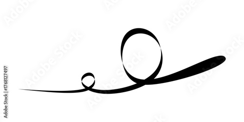 Elegant calligraphic flourish with smooth curves and flowing lines, ideal for wedding stationery, branding accents, decorative typography, or classic design themes.