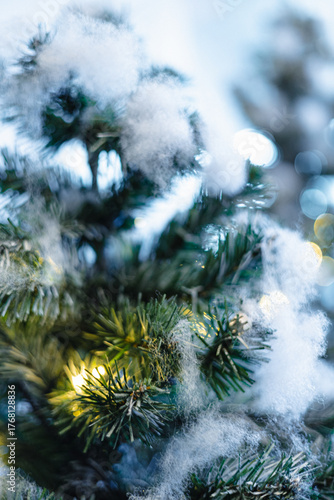 Canvas Print Christmas green tree leaf with bokeh of night light xmas season
