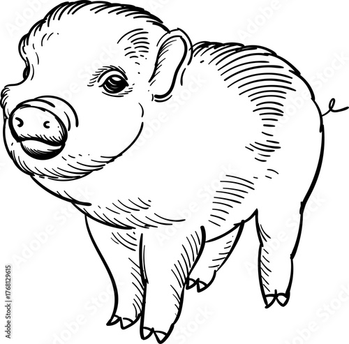 Vintage hand drawn sketch of adorable piglet