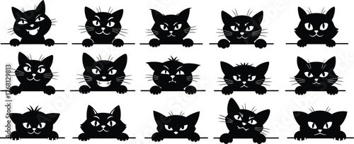 Black cat silhouette vector illustration halloween cat graphics editable stock