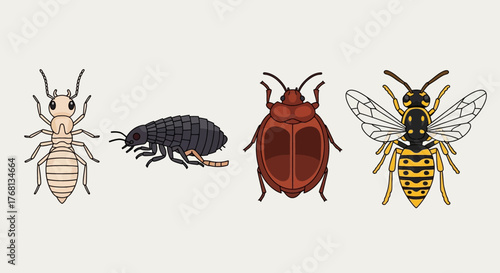 Collection of diverse insect illustrations showcases nature's miniature world insects creatures