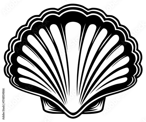 Black and white elegant scallop shell vector illustration marine theme