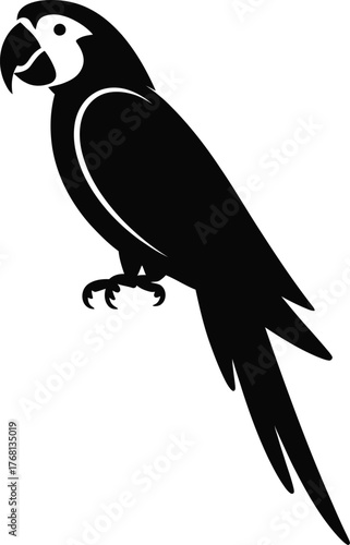 Vibrant macaw parrot perched in a striking black silhouette