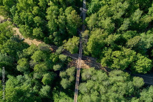 Photos Aerial view of a long metallic footbridge spanning a lush green forest ravine