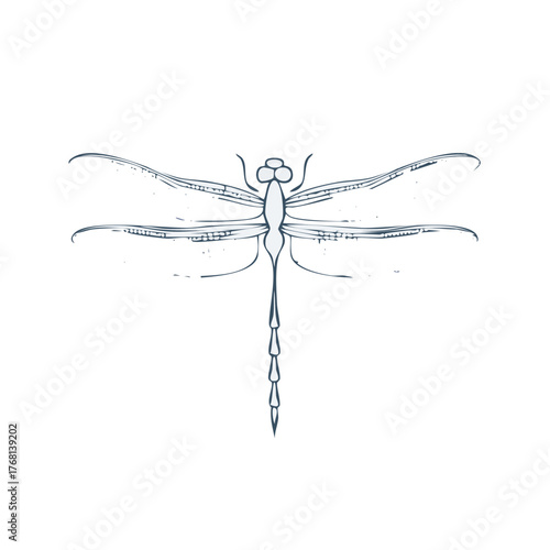 Elegant Dragonfly Insect Illustration Insecticide Entomology Line Art Bug