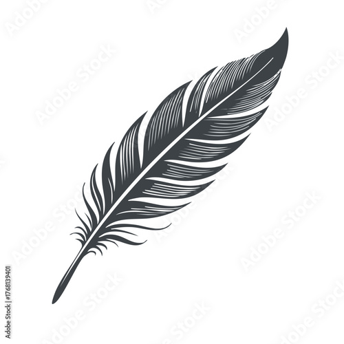 Detailed feather illustration with a clean graphic design in a minimalist style