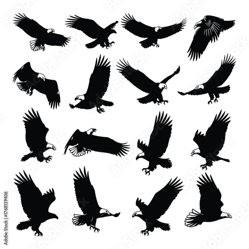Dynamic silhouette collection of eagles in flight showcasing majestic wing spans and powerful talons silhouette
