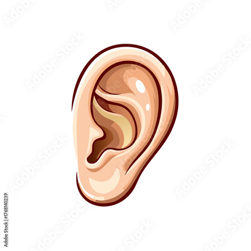 Stylized human ear illustration with warm skin tones and clear contours