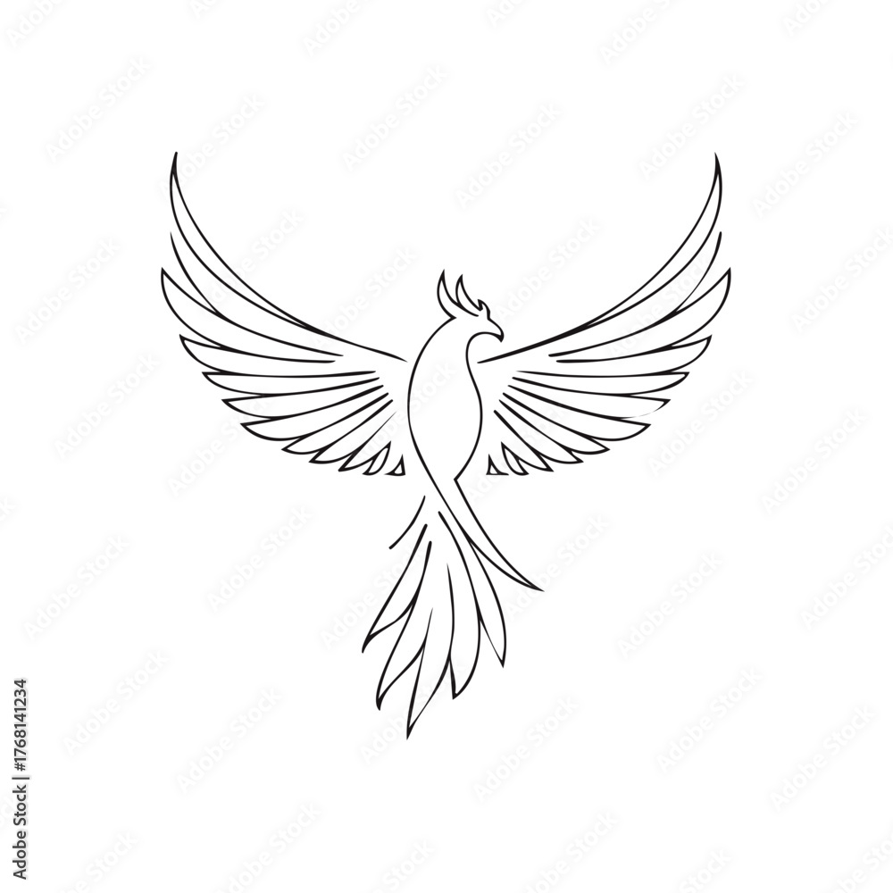 Fototapeta premium Mythical phoenix bird rising with widespread wings, elegant black line art illustration