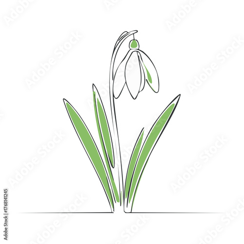 Elegant single line art snowdrop flower with vibrant green details minimal spring blossom illustration