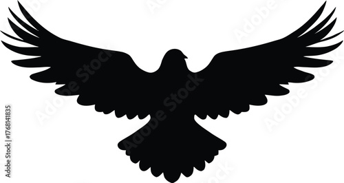 Monochrome Silhouette Illustration of a Bird in Flight Viewed from Below with Fully Spread Wings and Fan-Shaped Tail in a Black and White Design Emphasizing Freedom and Symmetry