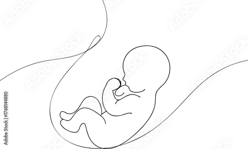Fetus in womb abstract line art pregnancy baby