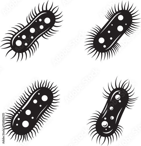Four black and white illustrations of rod shaped bacteria with flagella on a white background