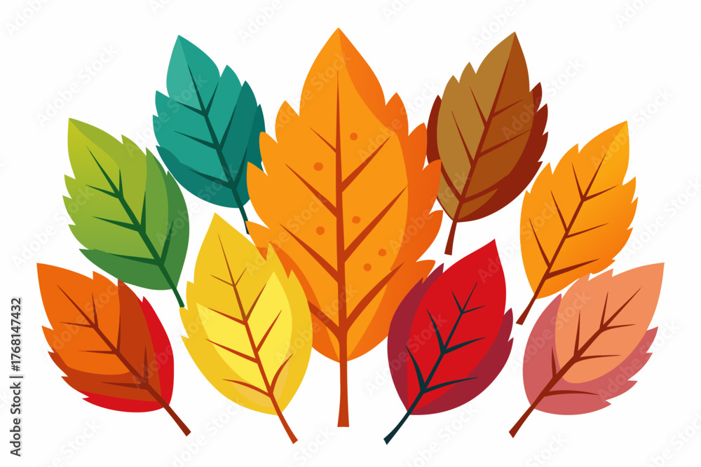 Fototapeta premium autumn leaves isolated on white