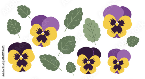 Delicate floral pattern featuring vibrant pansies and fresh green foliage arrangement illustration
