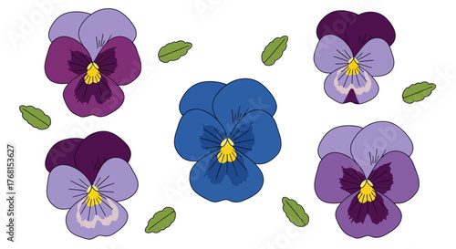 Elegant pansy blossoms floating amidst delicate green leaves on a pristine backdrop