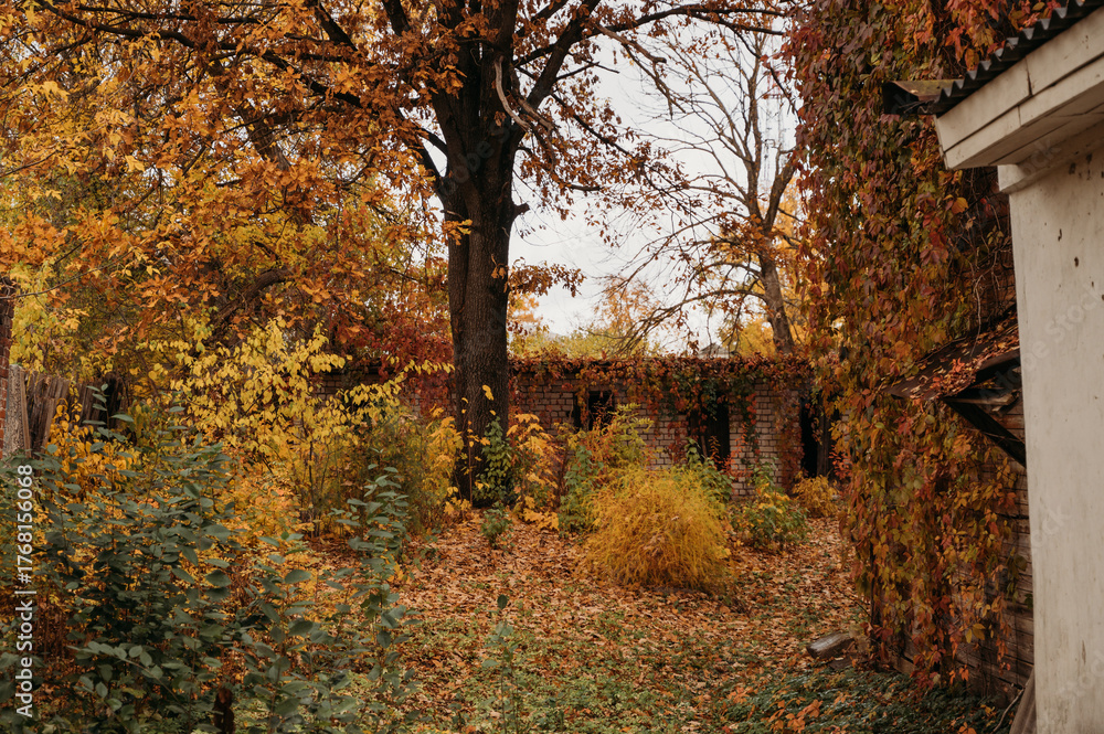 Obraz premium autumn in the park