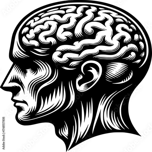 Mindful Silhouette: A striking silhouette of a human head reveals the intricate convolutions of the brain, capturing the essence of intelligence and cognition.