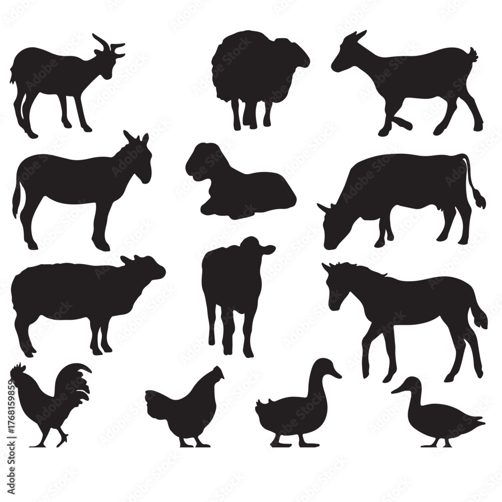 Obraz premium silhouette animal vector