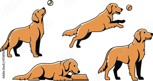 Golden retriever dog poses vector illustration pet animals canine art