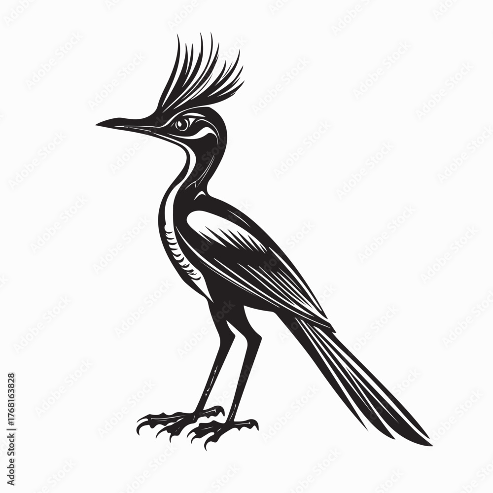 Fototapeta premium Greater Roadrunner Bird Silhouette Vector Design on white background