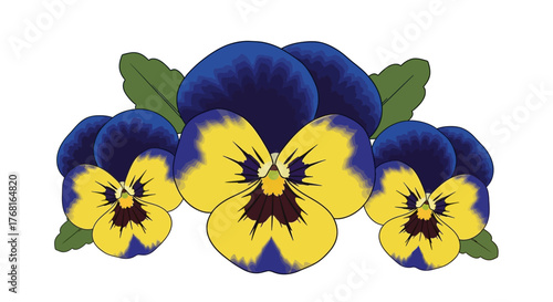 Illustration of pansy flowers in yellow and dark blue against white backdrop that radiates beauty