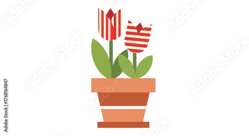 Stylized tulip illustration in a flowerpot with red and white striped petals, a simple and neat
